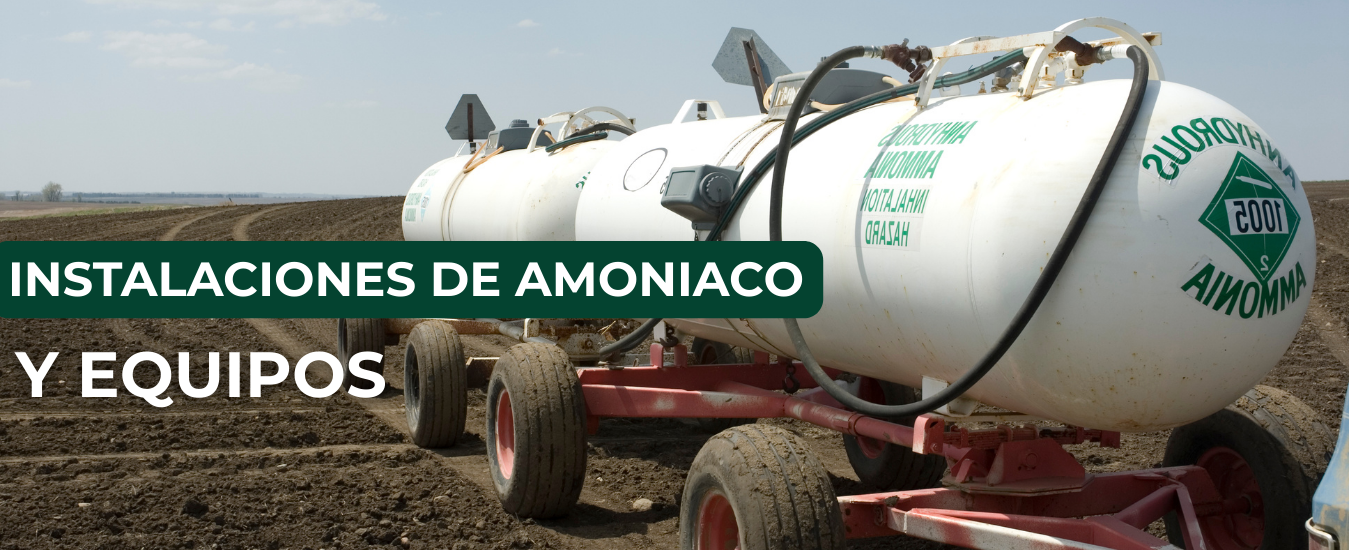 INICIO-4